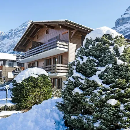 Nordwestwand By Interhome Daire Grindelwald