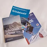Rean By Interhome Apartment Grindelwald